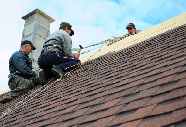Best Residential Roofing Contractor  in Josephine, TX